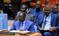 Situation en Afrique centrale : le Conseil de sécurité soutient le travail de l’UNOCA 