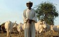 Prévention et résolution des conflits entre agriculteurs et éleveurs en Afrique de l’Ouest et du Centre : un recueil de bonnes pratiques est disponible