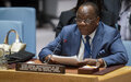 Rapport du Secrétaire général de l'ONU sur l'Afrique centrale