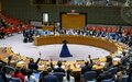 Afrique centrale – UNOCA : un nouveau rapport au Conseil de sécurité avant le 30 novembre 2024