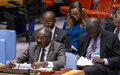 Le Chef de l’UNOCA alerte le Conseil de sécurité sur la situation en Afrique centrale 