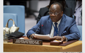 L’ONU appelle à poursuivre des efforts inlassables contre Boko Haram et la LRA